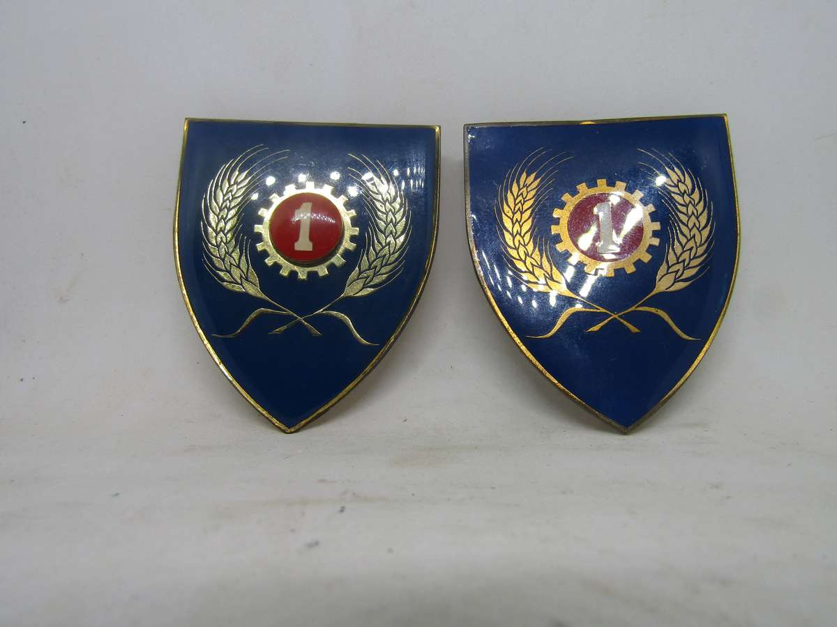 2 Types SADF 1 Field maintenance  Shoulder Flashes Badge. Pin intact.