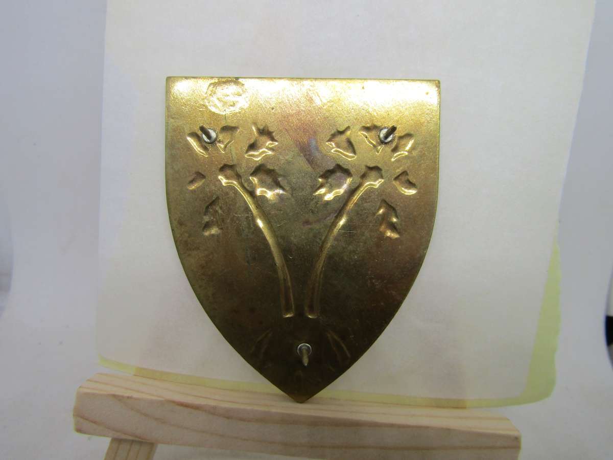 SADF SWA Provost  Flashes . Pins intact.