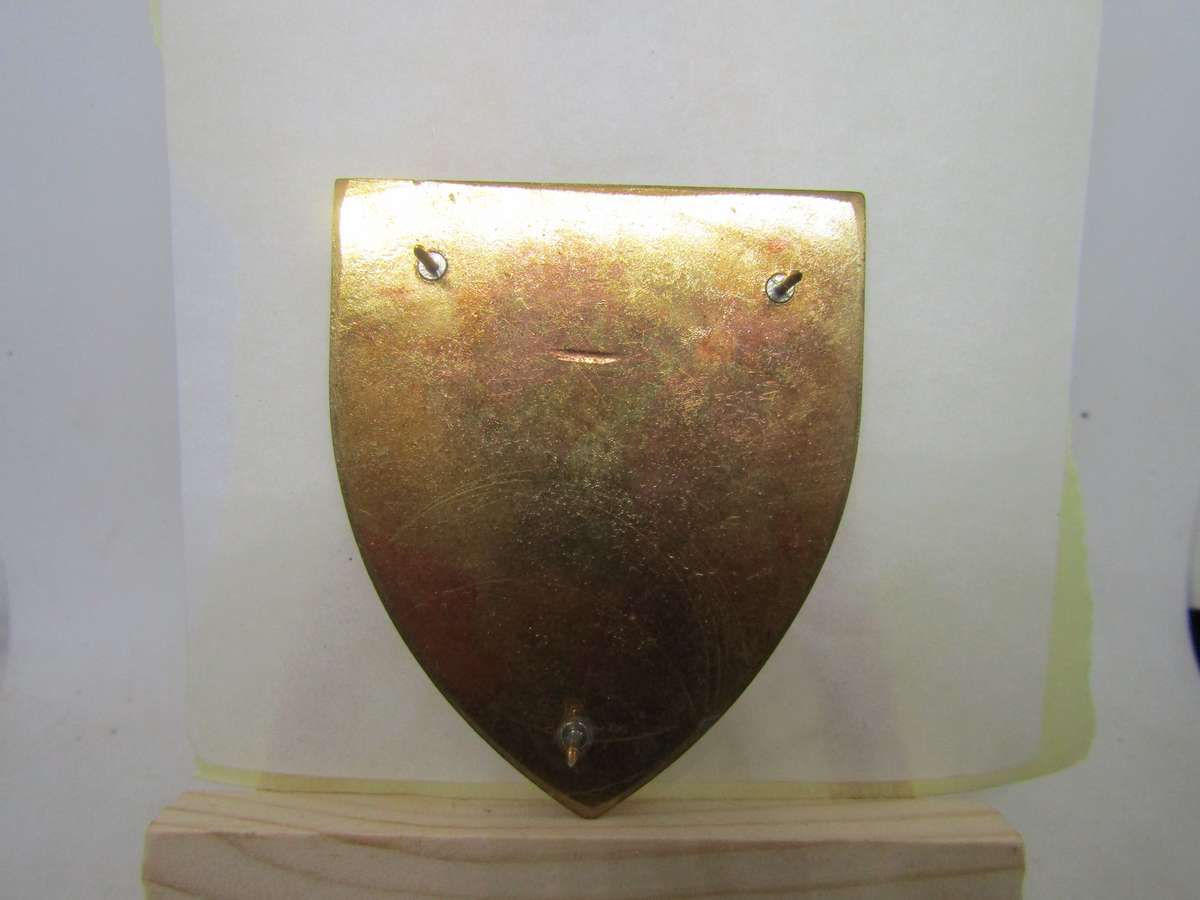 SADF Witwatersrand  Command Flashes . Pins intact.