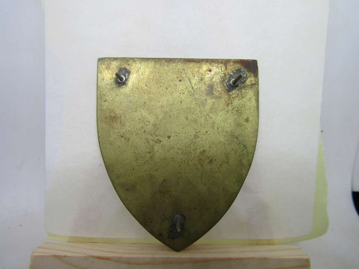 SADF Eastern Cape HQ Command Flashes . Pins intact.