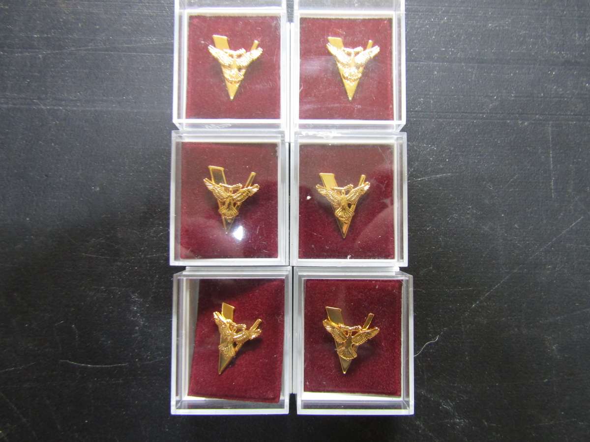 6 WW2 Victory Lapel Badges. Bid per badge
