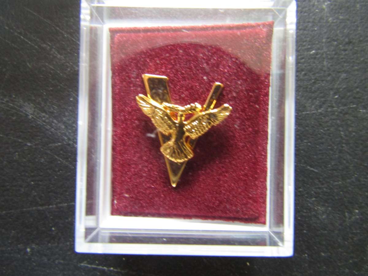 6 WW2 Victory Lapel Badges. Bid per badge