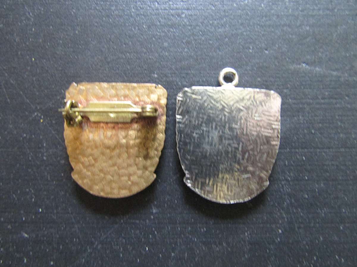 SA Navy Badge and pin