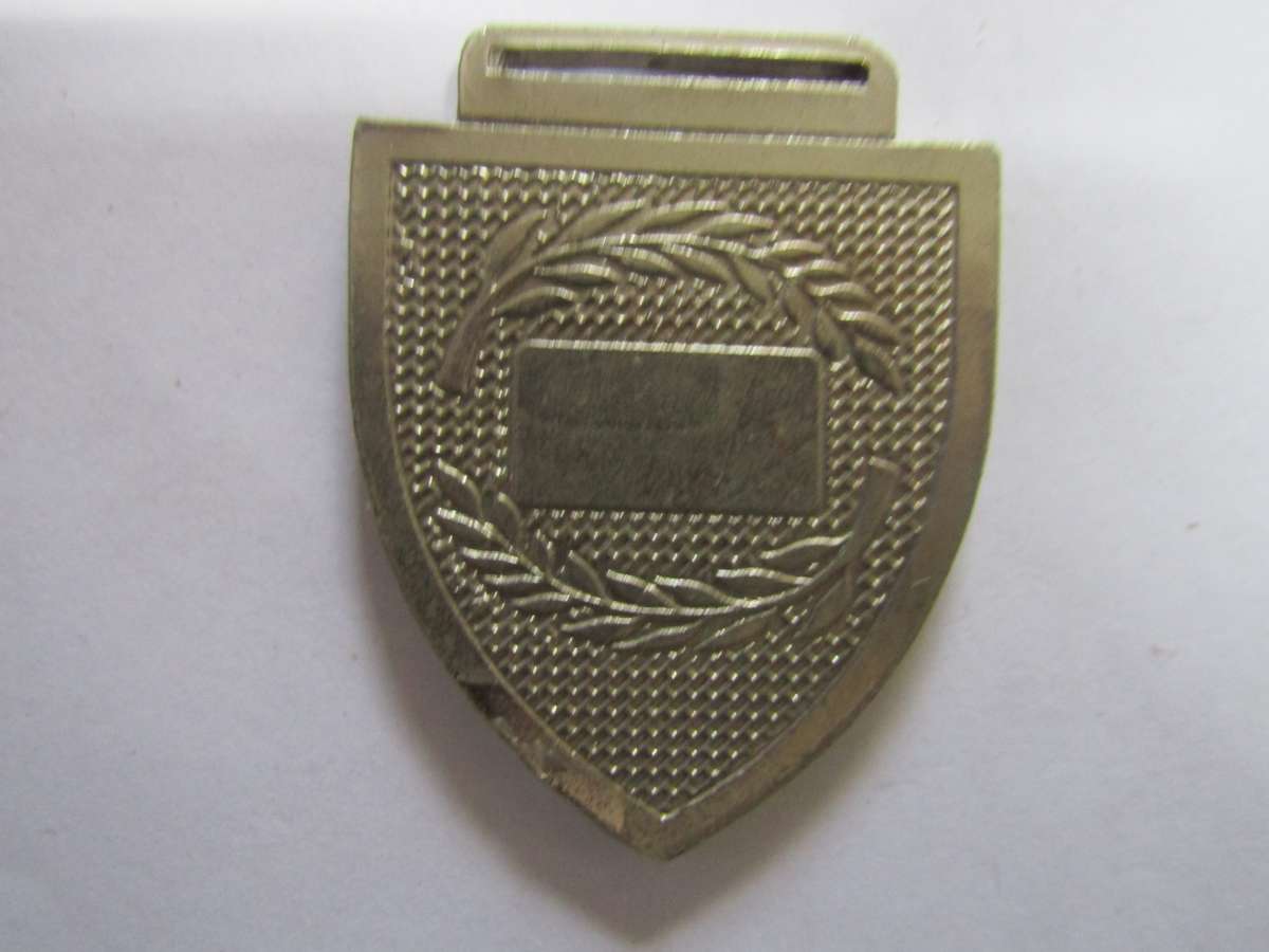 ASB Ladismith Combat Rifle shoulder flash