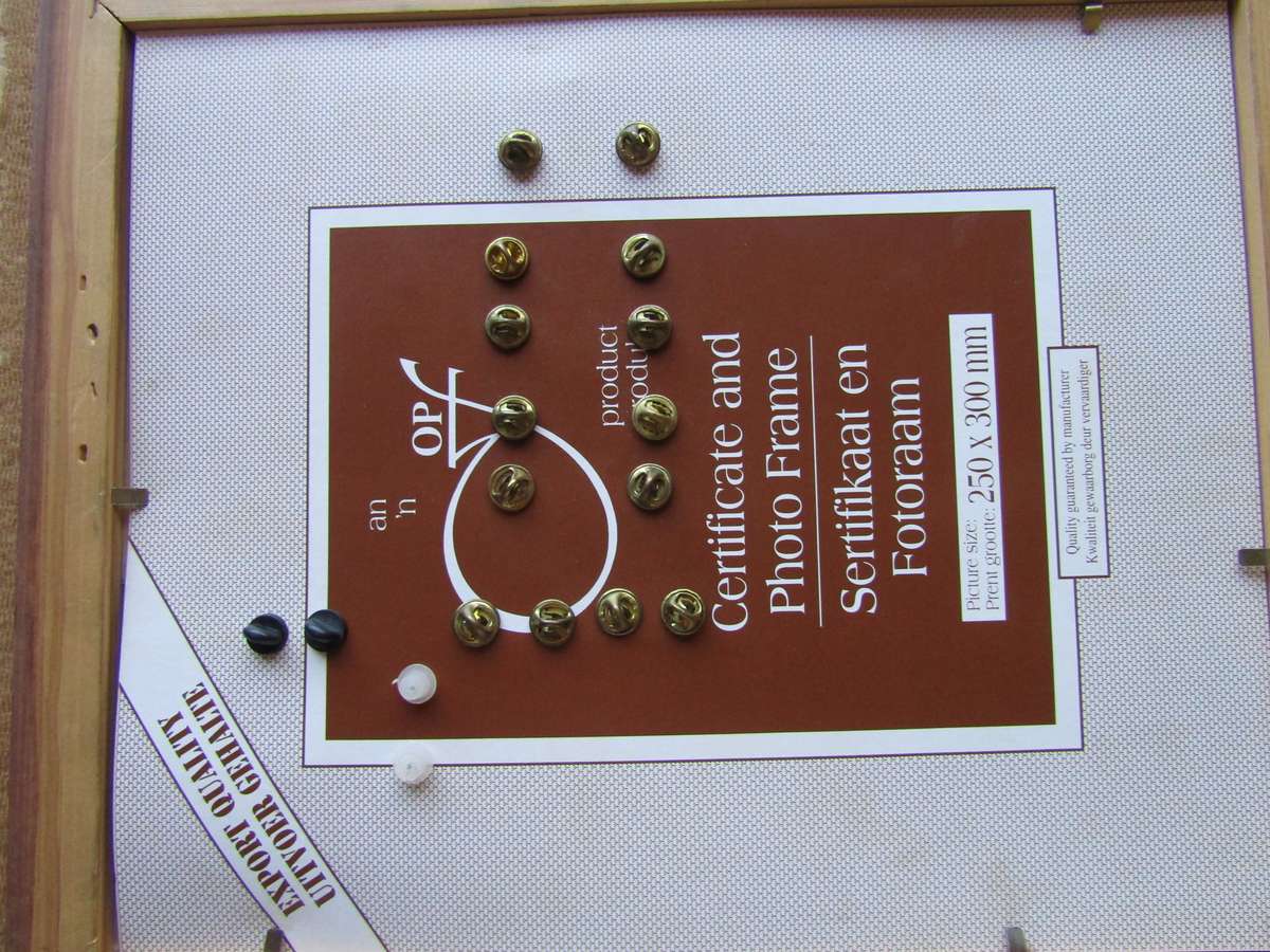 RARE RARE RARE Carlos Saldana 7th SFG Combat Diver US Army Badges in Frame. All pins intact.