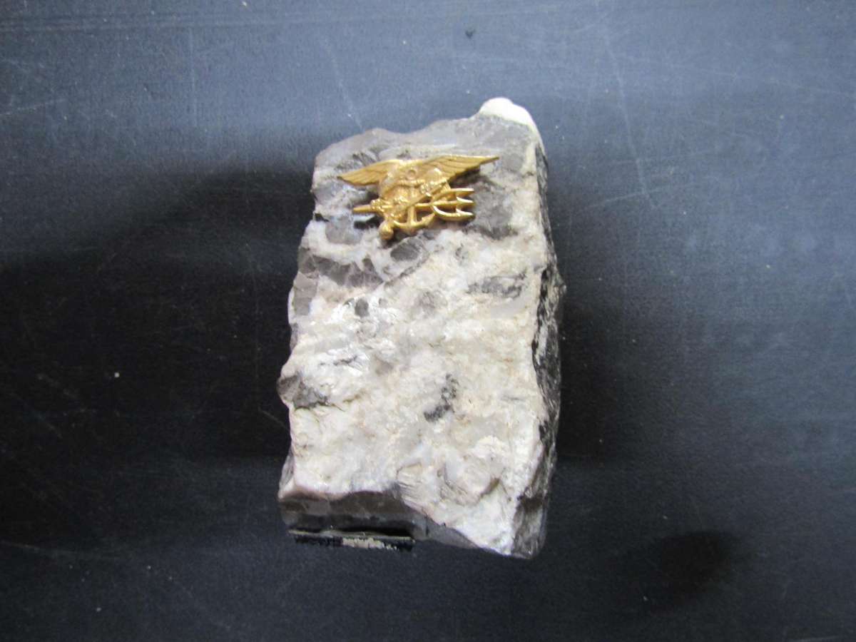 US Navy Seal Badge on Iraqi Stone
