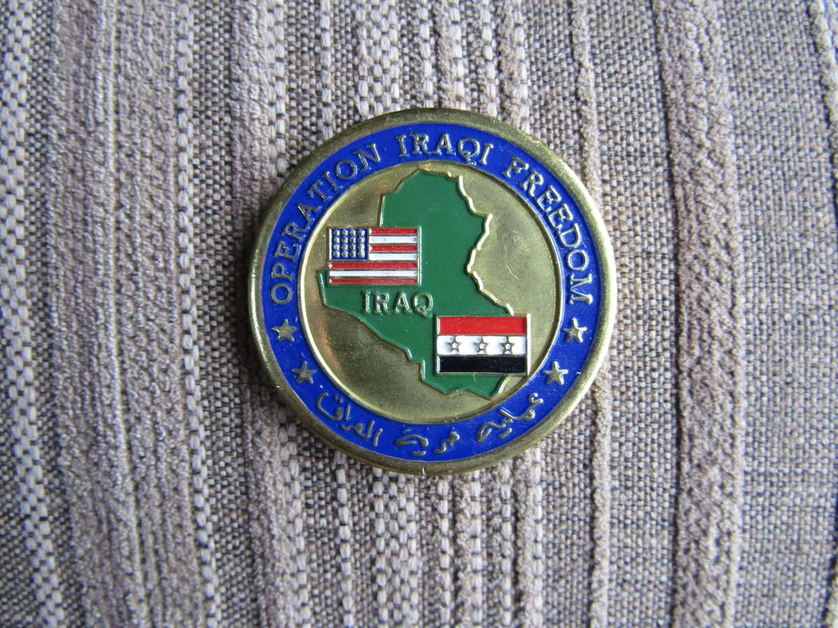 10th Mountain Division Challenge Coin (A74)