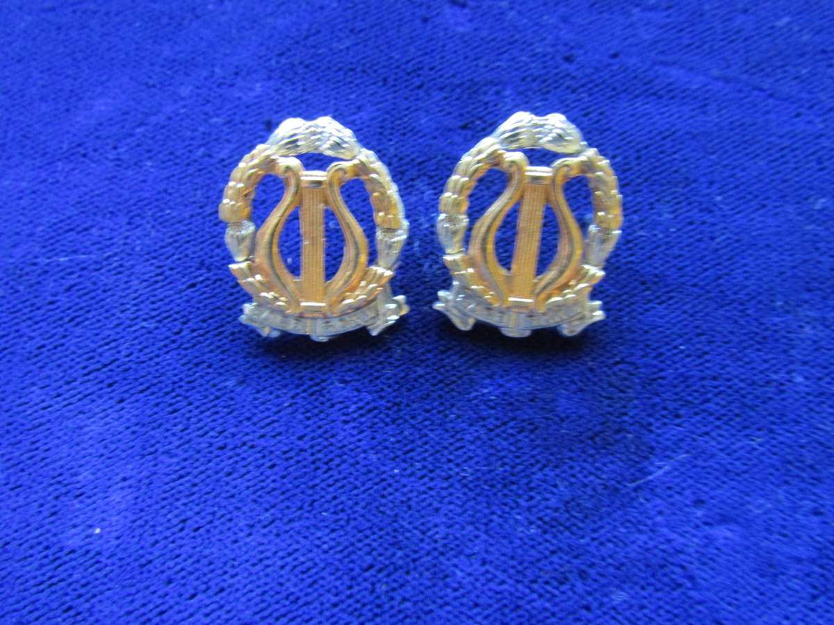 Pair of SA Permanent Force Band Collar Badges. Pins intact.