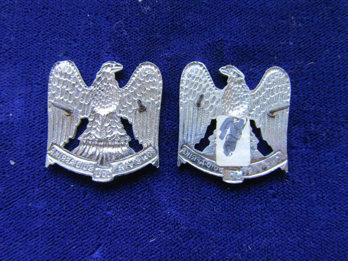 Pair of Regiment Louw Wepener Collar Badges. Pins intact.