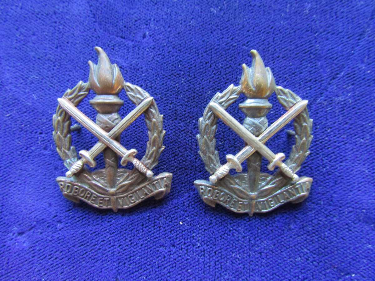 Pair of Regiment Skoonspruit Collar Badges. Pins intact.