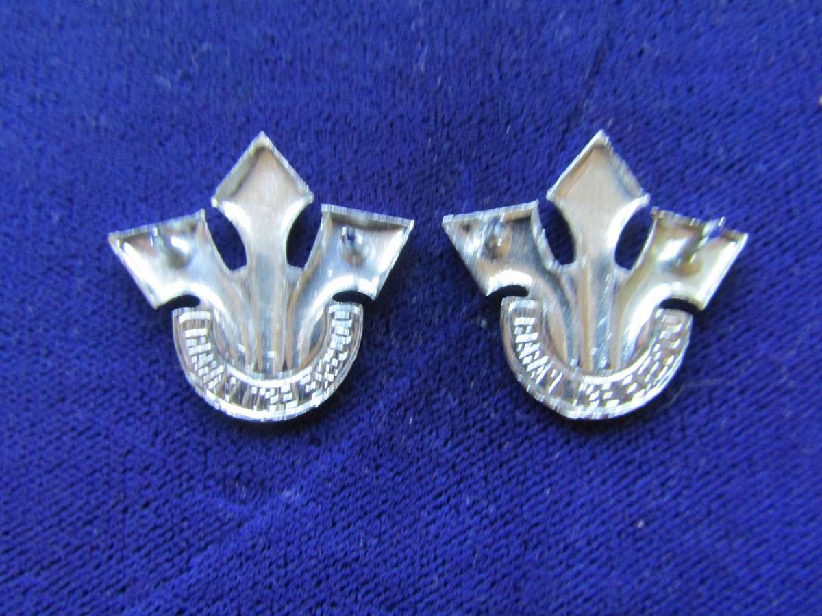 Pair of Corps of Professional Officers Collar Badges. Pins intact.