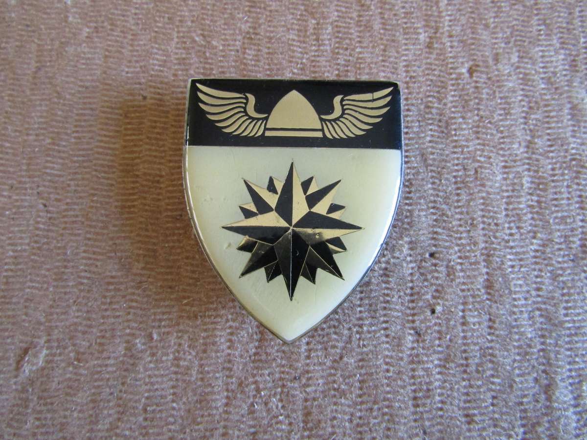 4 Reconnaissance Regiment. Pins intact