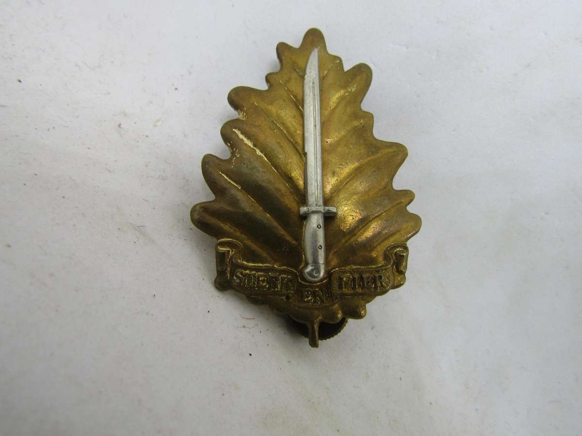 Regiment University of Stellenbosch  Cap Badge . Pins Intact