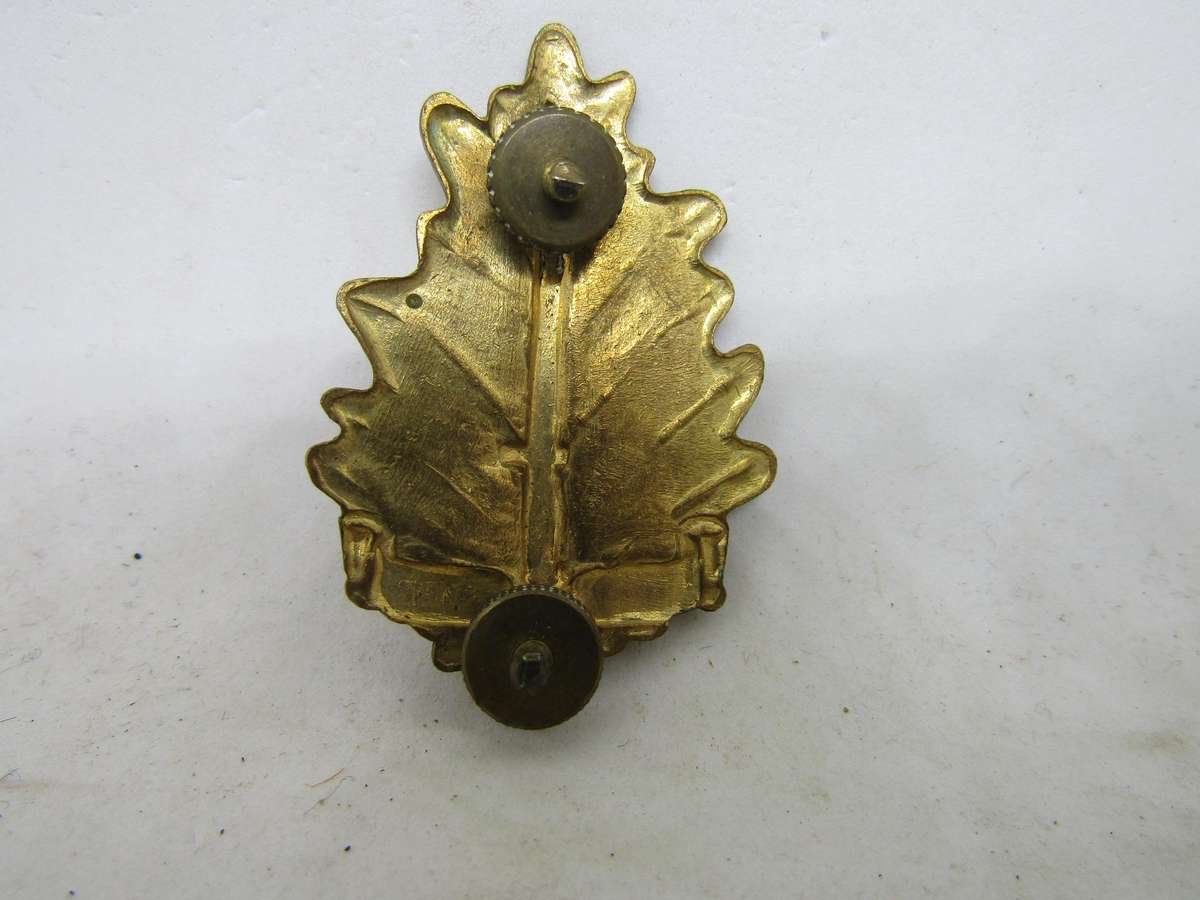 Regiment University of Stellenbosch  Cap Badge . Pins Intact