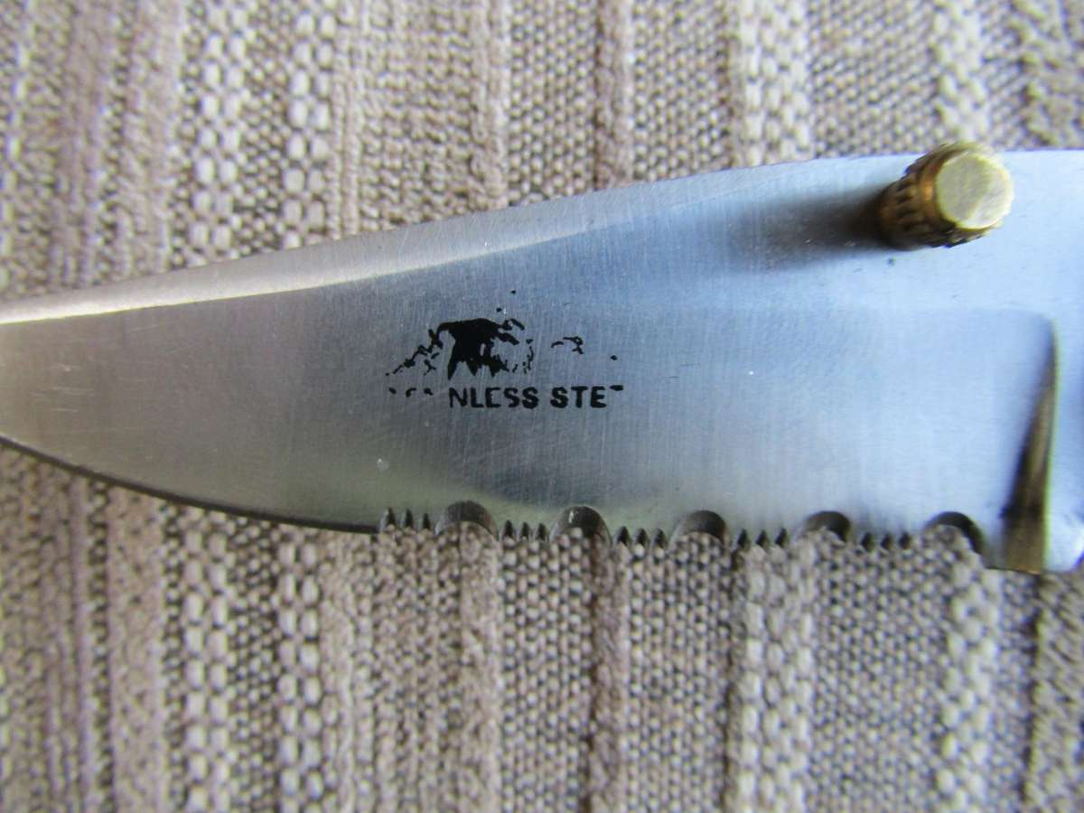 Stainless Steel Folding Knive.  Blade 9.5cm