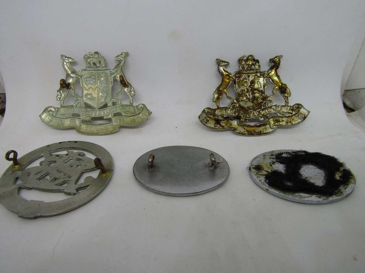 South African Railways Badges. Some pins missing