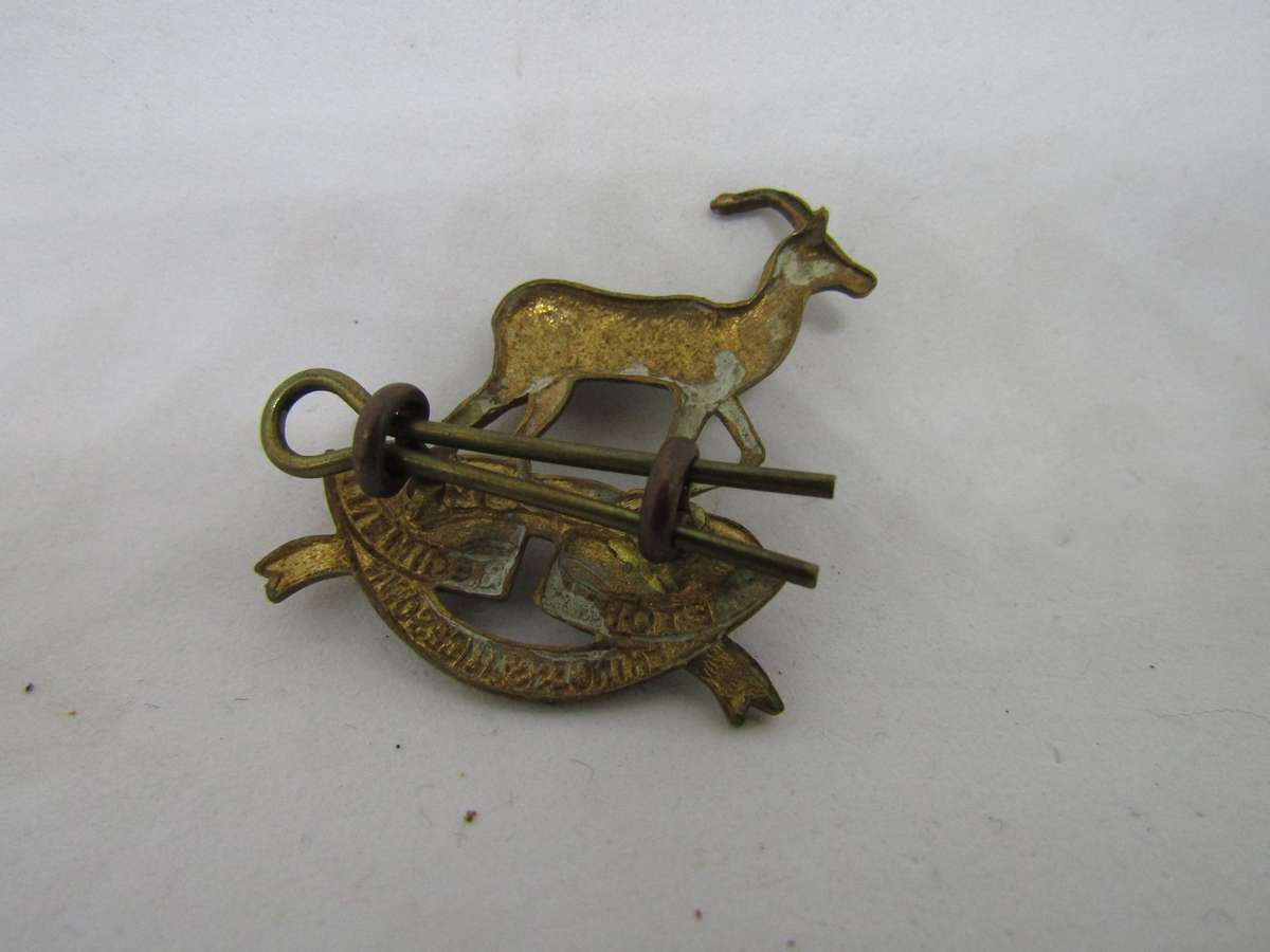 SADF Regiment Pretoria Princess Alice Own Collar Badge 3cm across