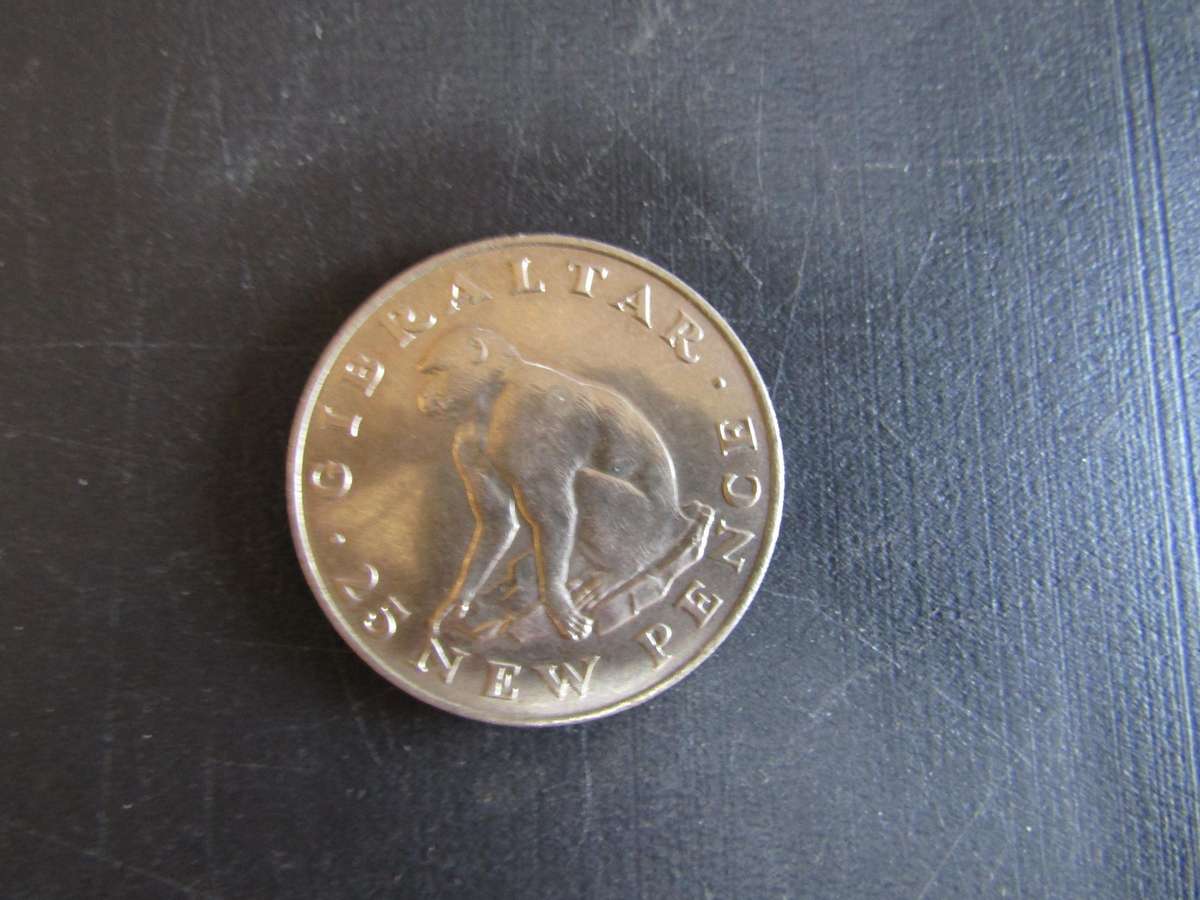 1971 Gibraltar 25 New Pence Crown size coin with Monkey
