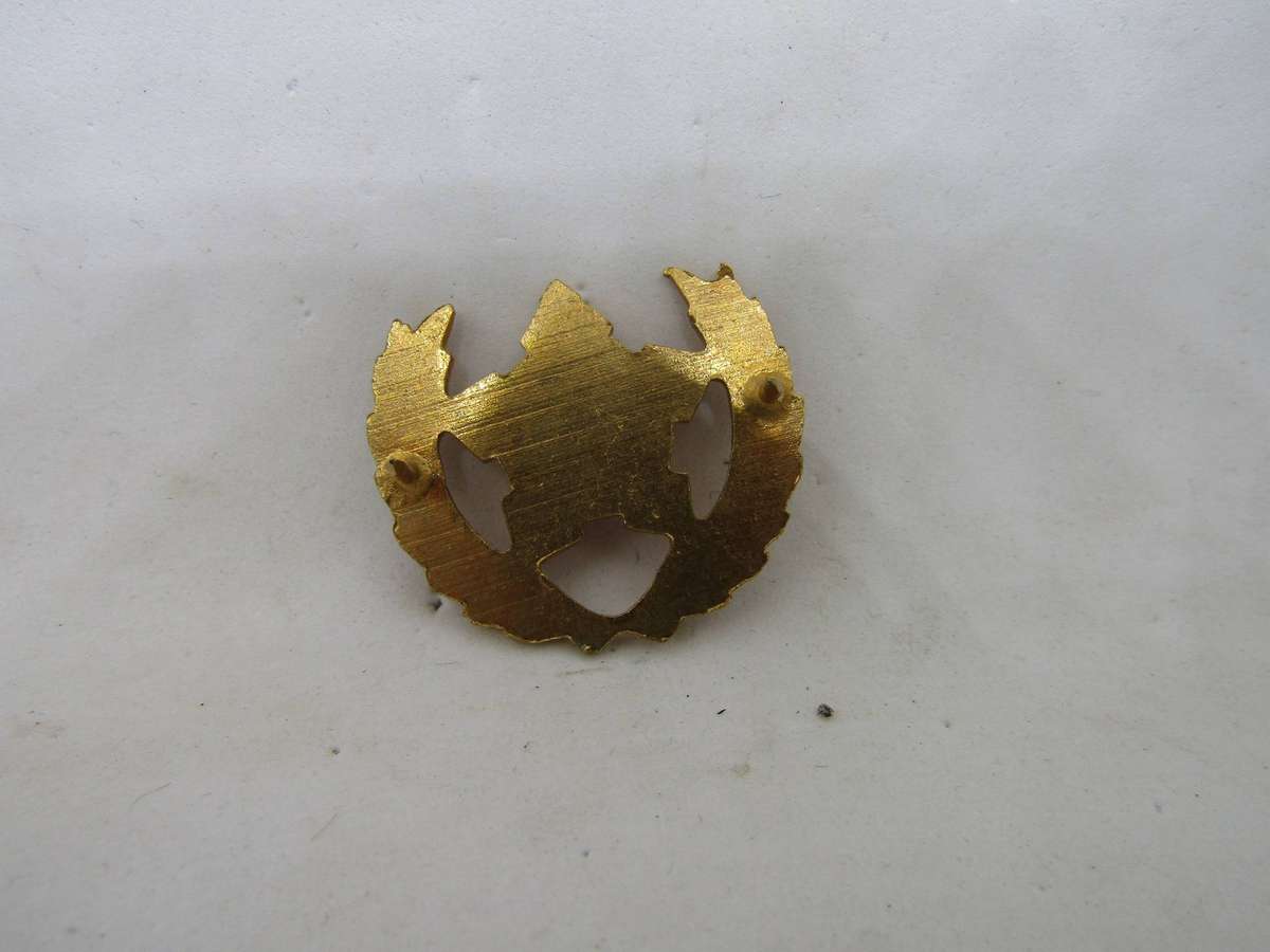 SADF Army 5 Year Voluntary Service Breast Badge Full Size