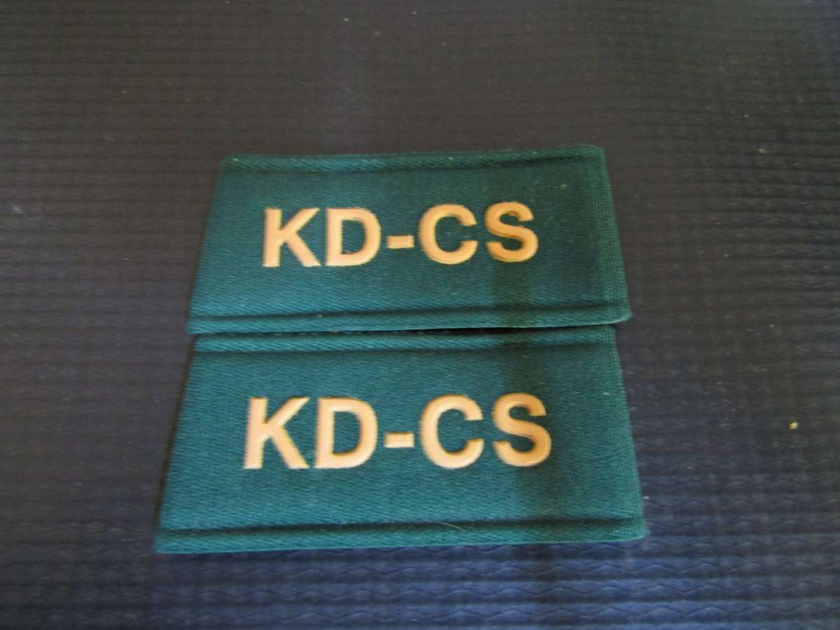 SA Prison Services Badge ( 2 Available )