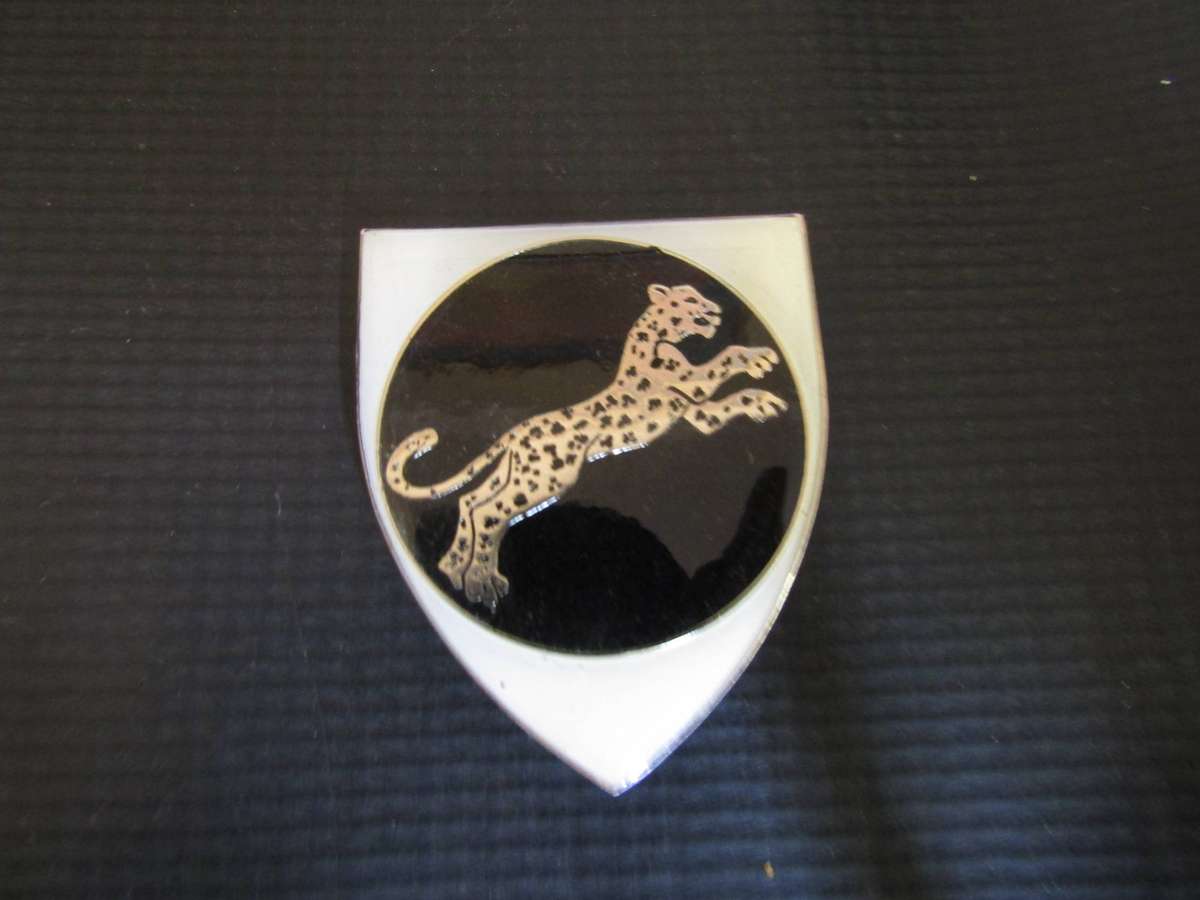 SWAFT 911 Battalion flash. Pin s intact