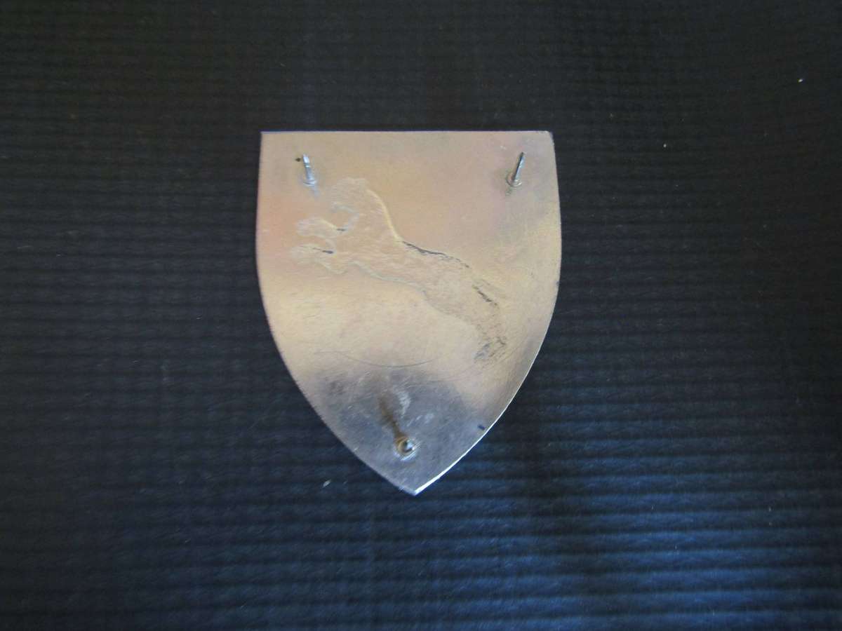 SWAFT 911 Battalion flash. Pin s intact