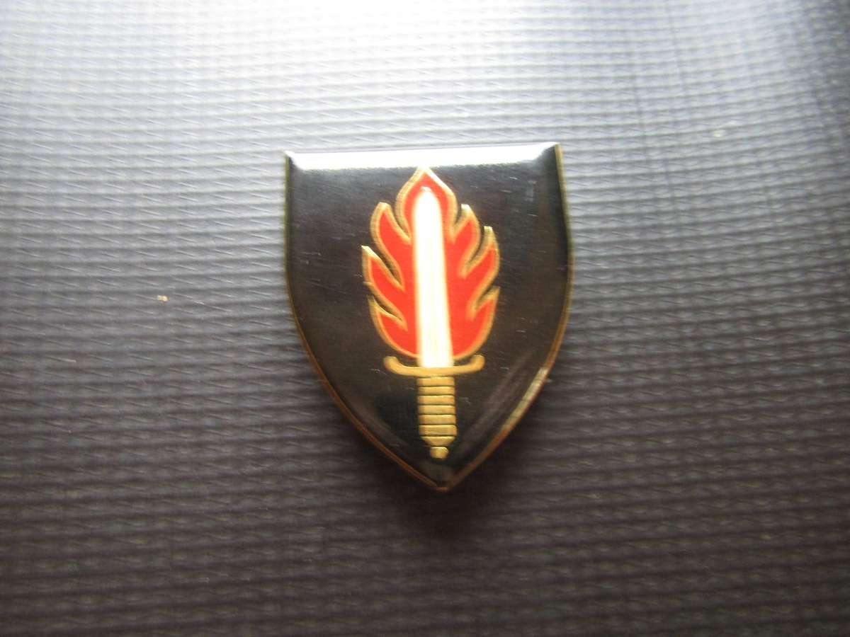 SADF 11 Command Shoulder flash. Pins intact