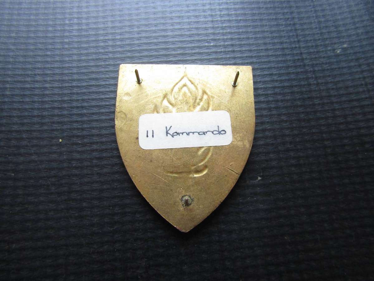 SADF 11 Command Shoulder flash. Pins intact