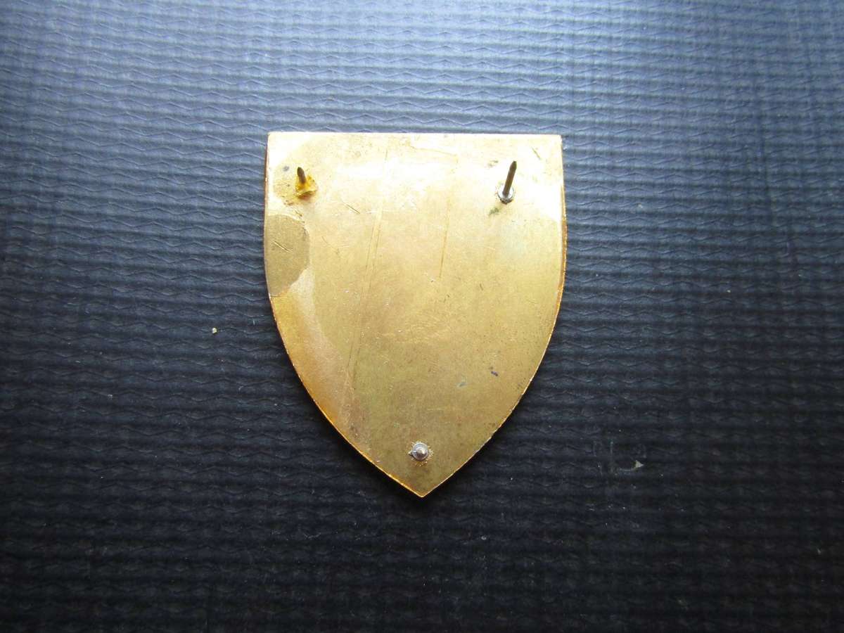 SADF Women's College George Shoulder flash. Pins intact