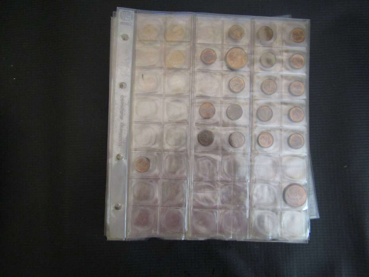 17 Pages of World and SA Coins