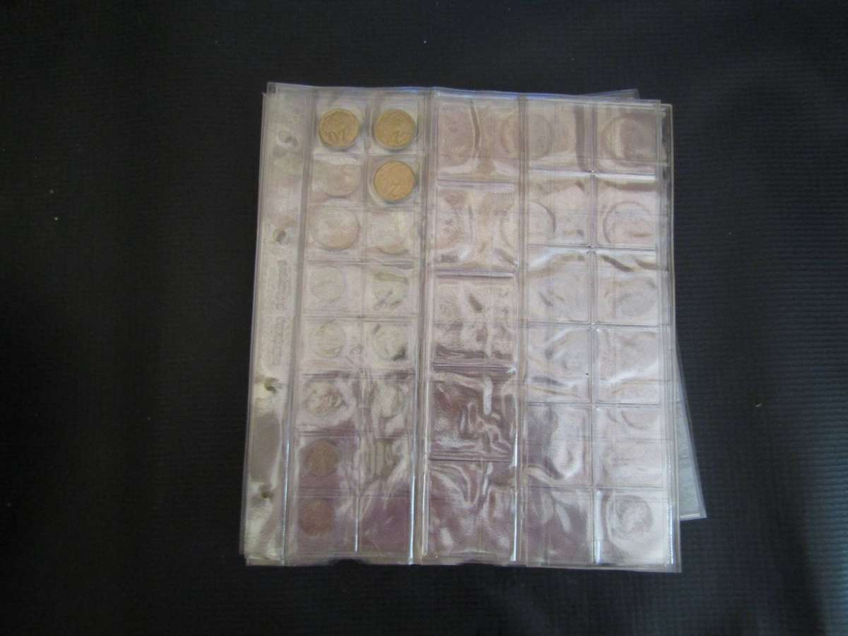 17 Pages of World and SA Coins