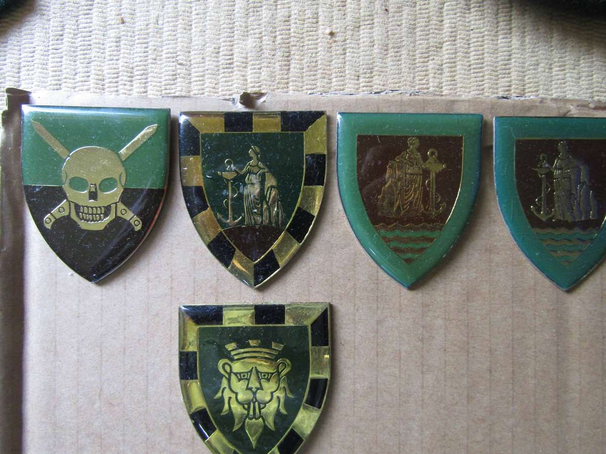 SADF Various Cape Corps Flashes and Tuppers. All Pins intact