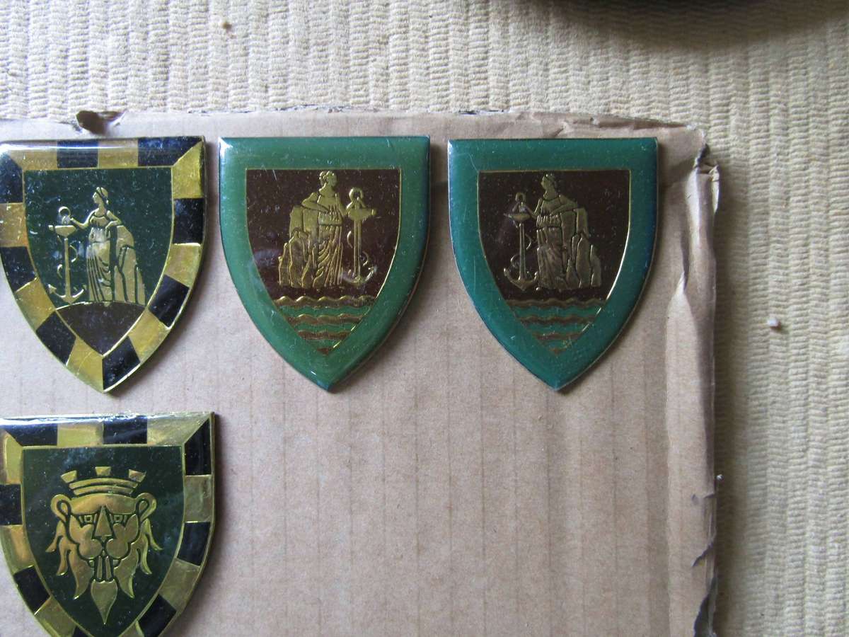 SADF Various Cape Corps Flashes and Tuppers. All Pins intact
