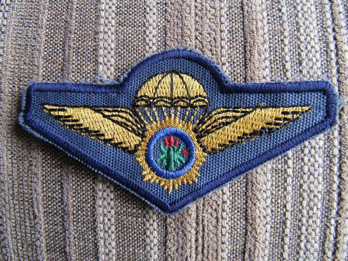 SAP Special Task Force para wing Dark Blue Field dress
