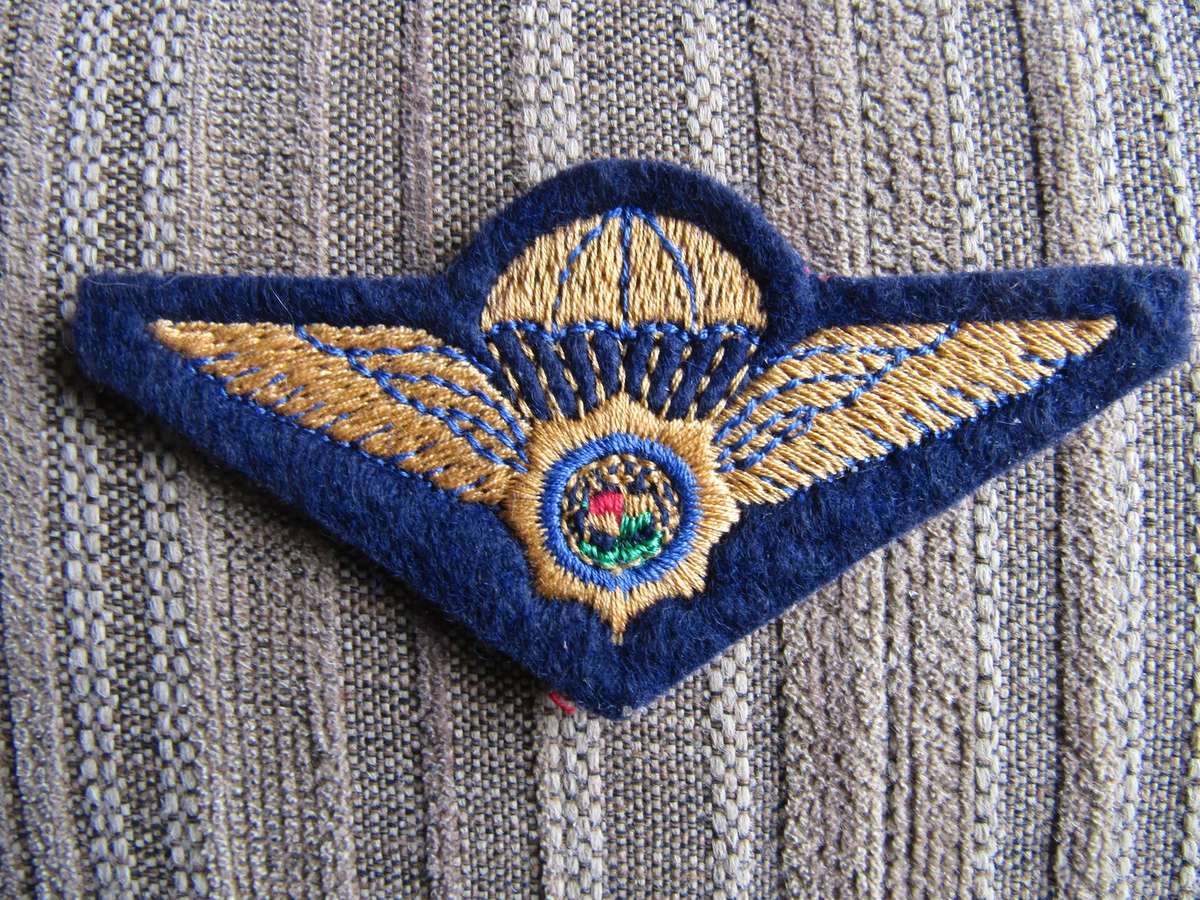 SAP Special Task Force para wing Royal Blue Field dress