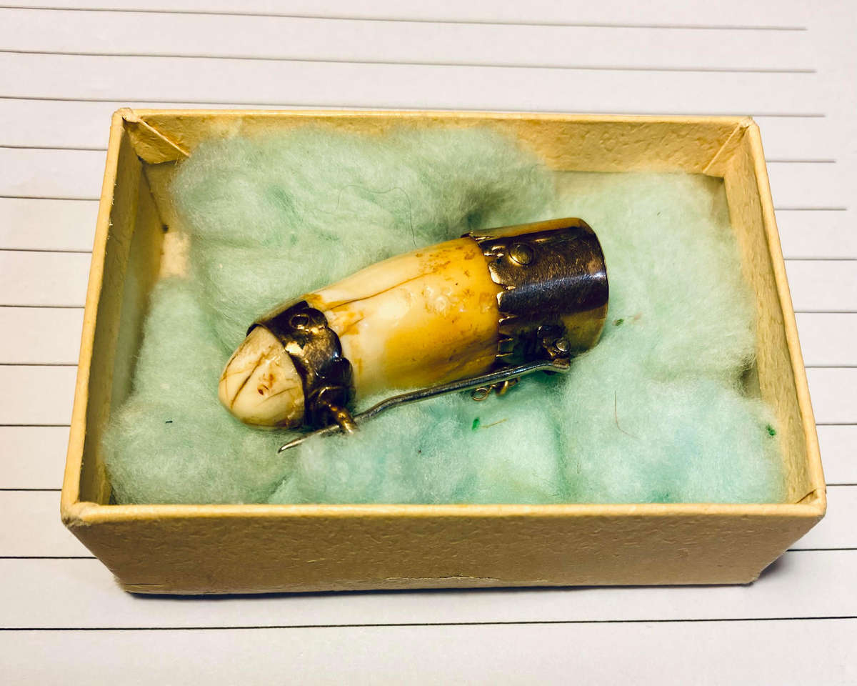 Antique Victorian 9K Gold Animal Tooth Brooch