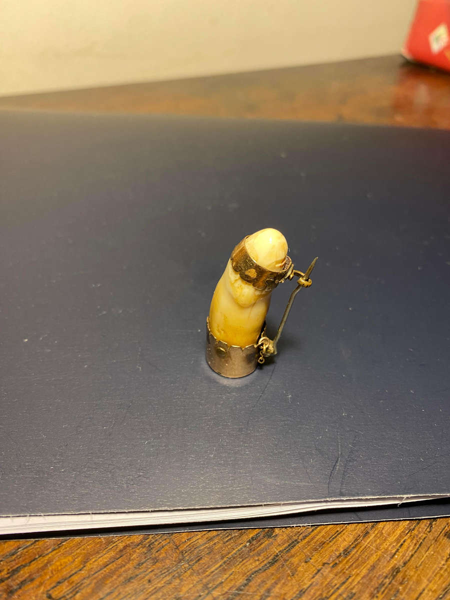 Antique Victorian 9K Gold Animal Tooth Brooch