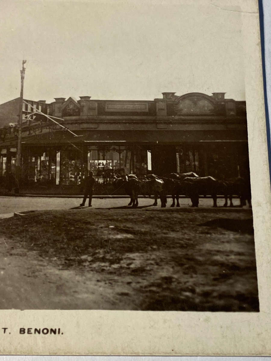 Rare South African Postcards x2