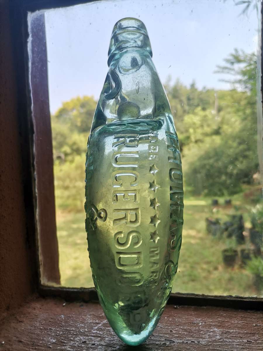 Hybrid Codd bottle Thomas & Co.