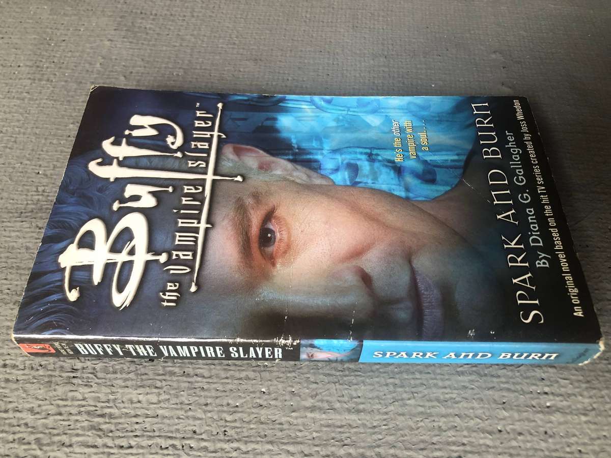 Buffy the Vampire Slayer: Spark and Burn - Diana G. Gallagher