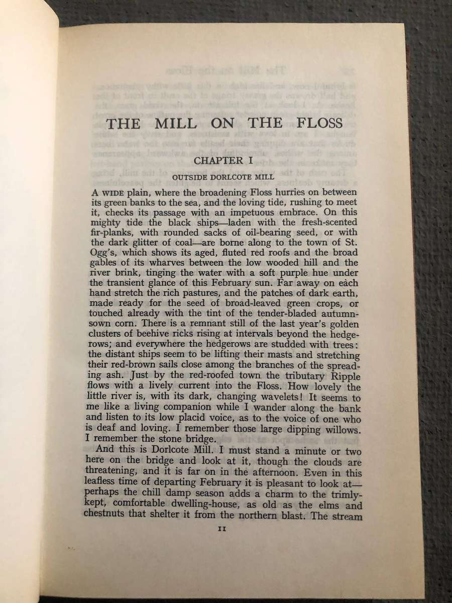 The Mill on the Floss (The Great Writers Library) - George Eliot