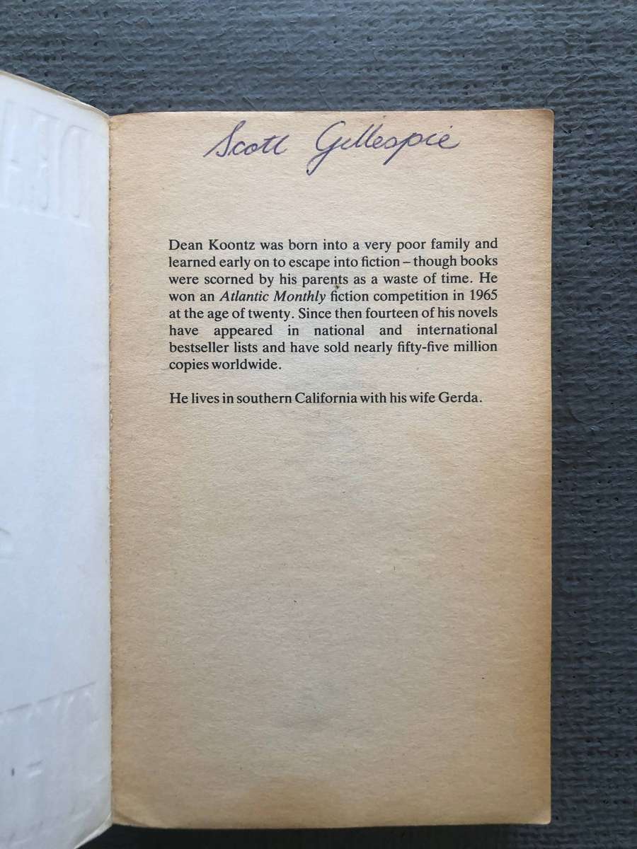 The Vision - Dean R. Koontz