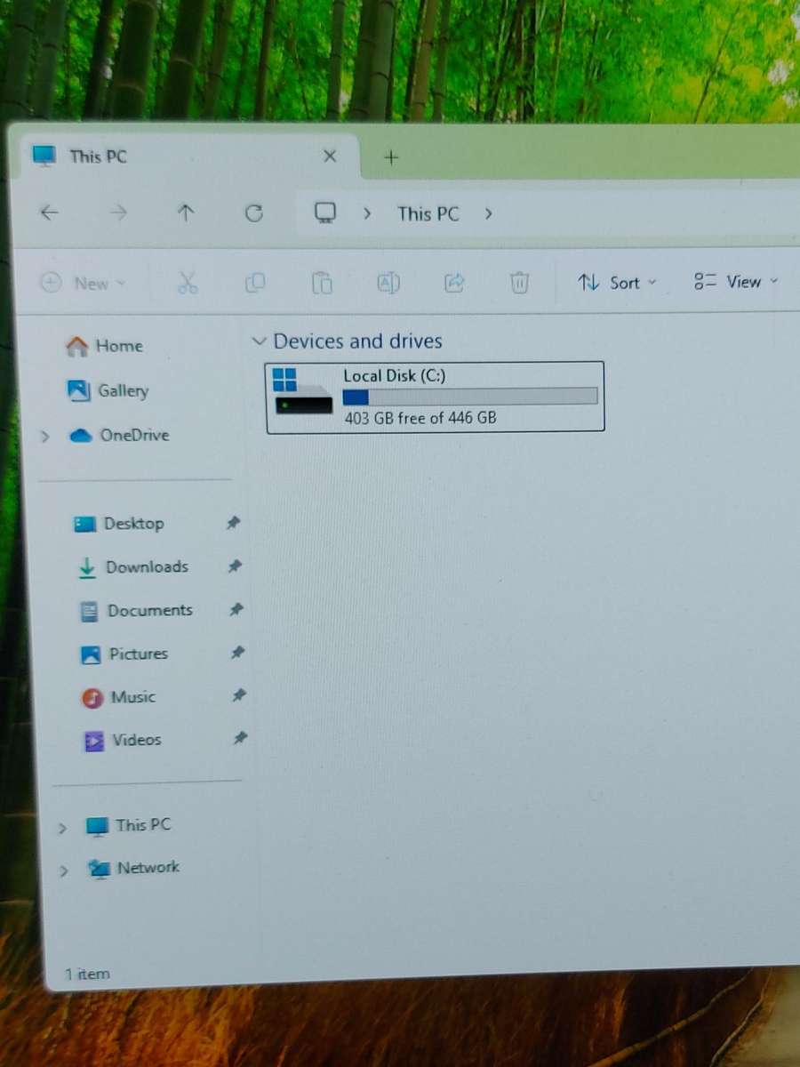 480gb M.2 Nvme Gen 4 (Windows 11 installed)
