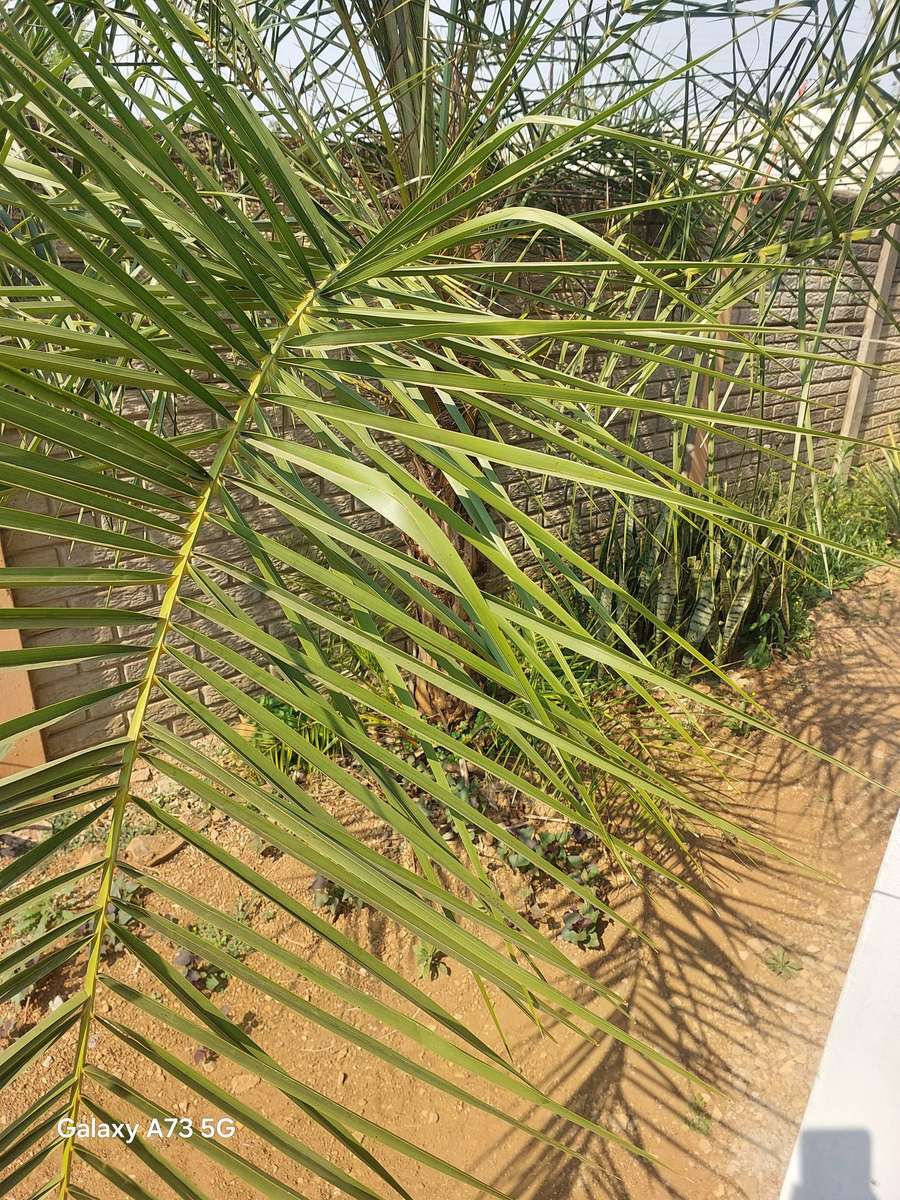 Samsung Galaxy A73 5G (for parts / repairs)