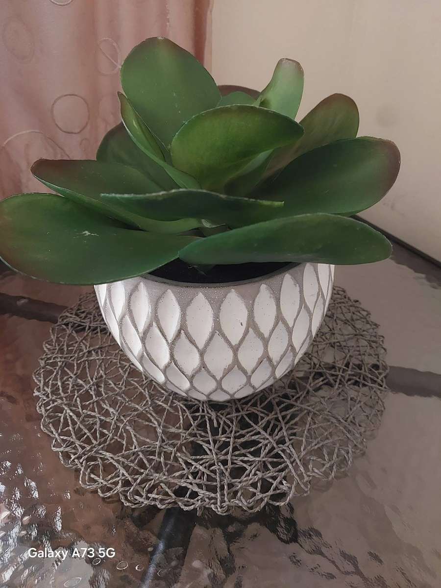 Samsung Galaxy A73 5G (for parts / repairs)