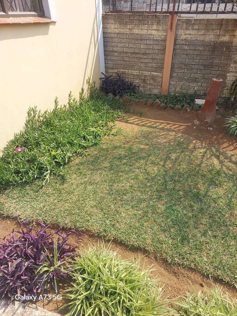 Samsung Galaxy A73 5G (for parts / repairs)