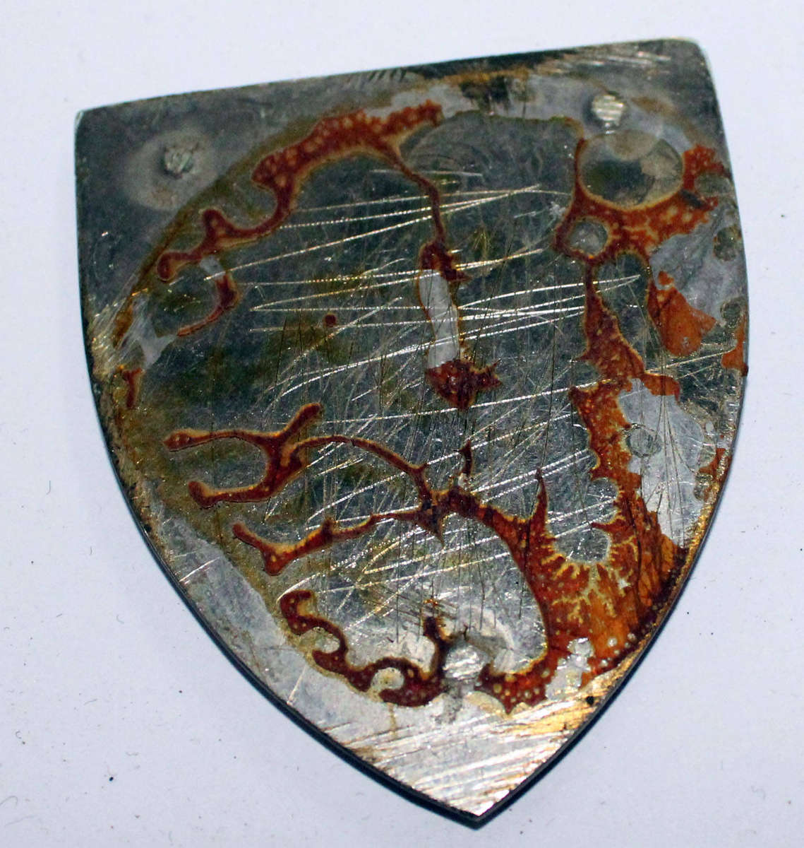 7 Light Anti Aircraft Regiment shoulder flash (no pins)