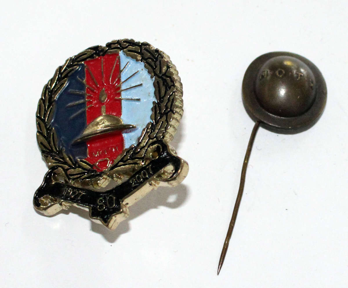 2x MOTH pins