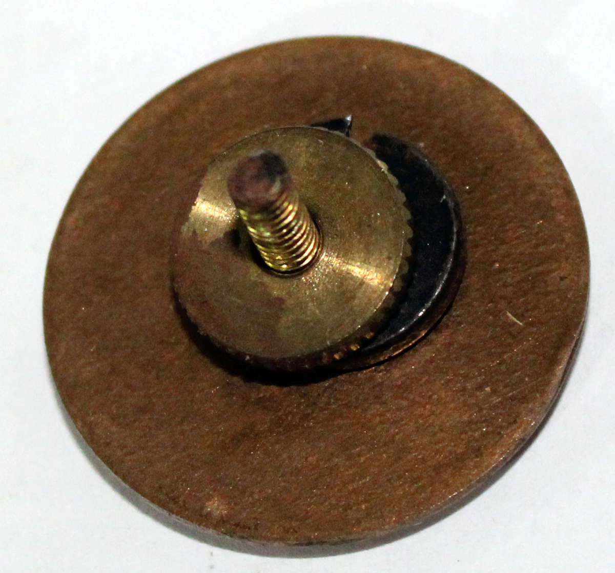 US Army Chemical Branch collar disk