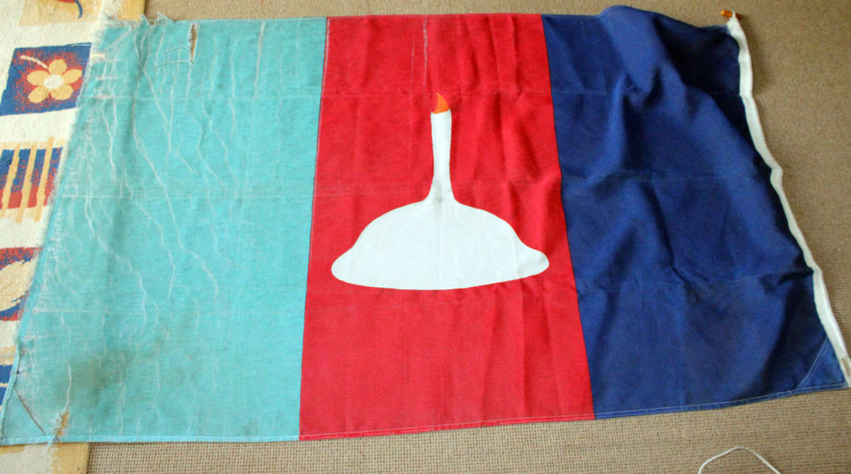 MOTH flag